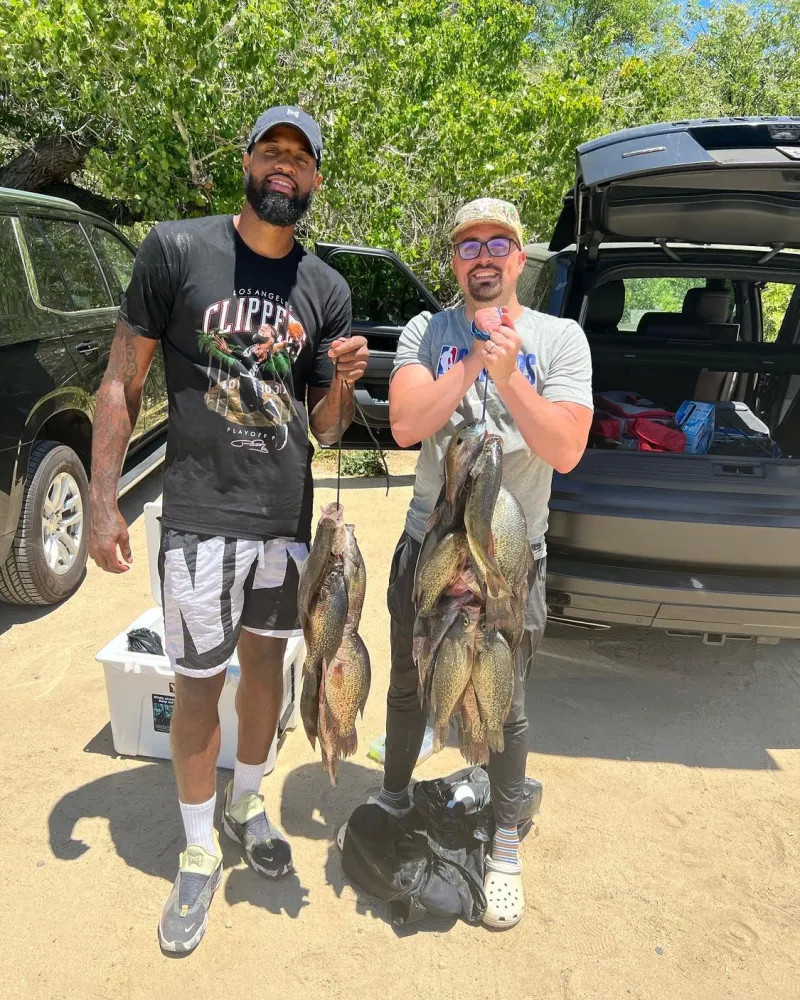 尽管其球场 尽管其球场