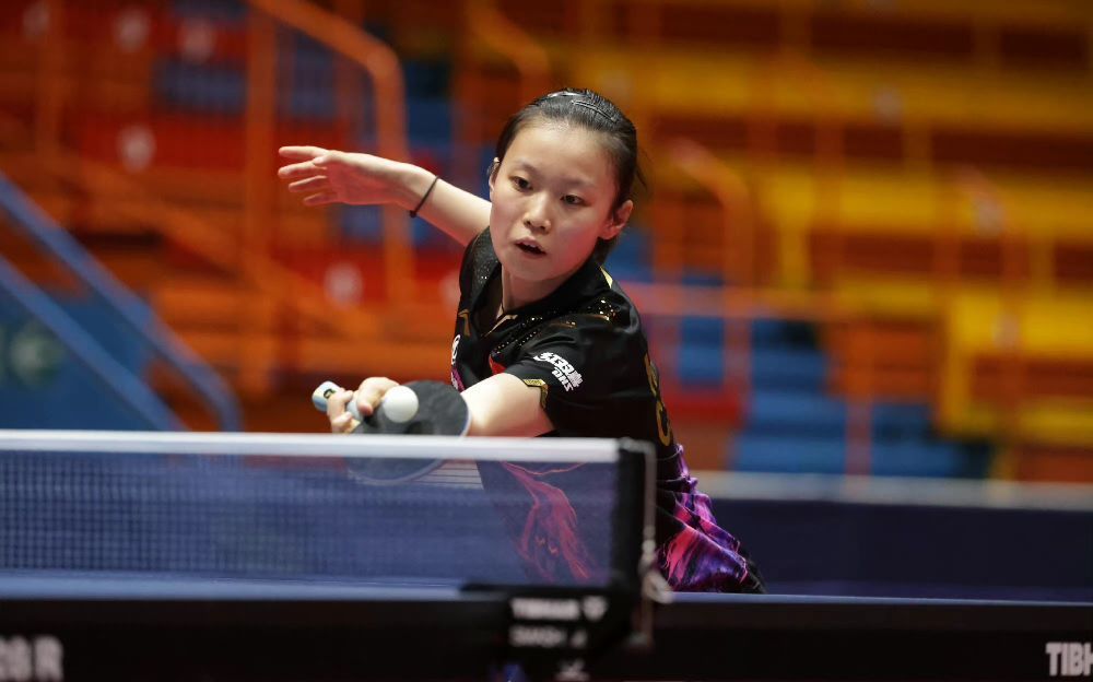 中央海岸的 中央海岸的